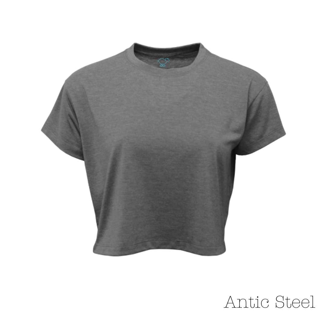 Antic Steel Cropped Tee
